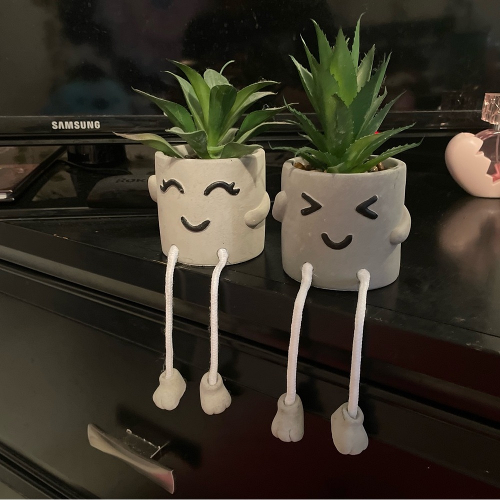 Cute Face Planters with Rope Legs